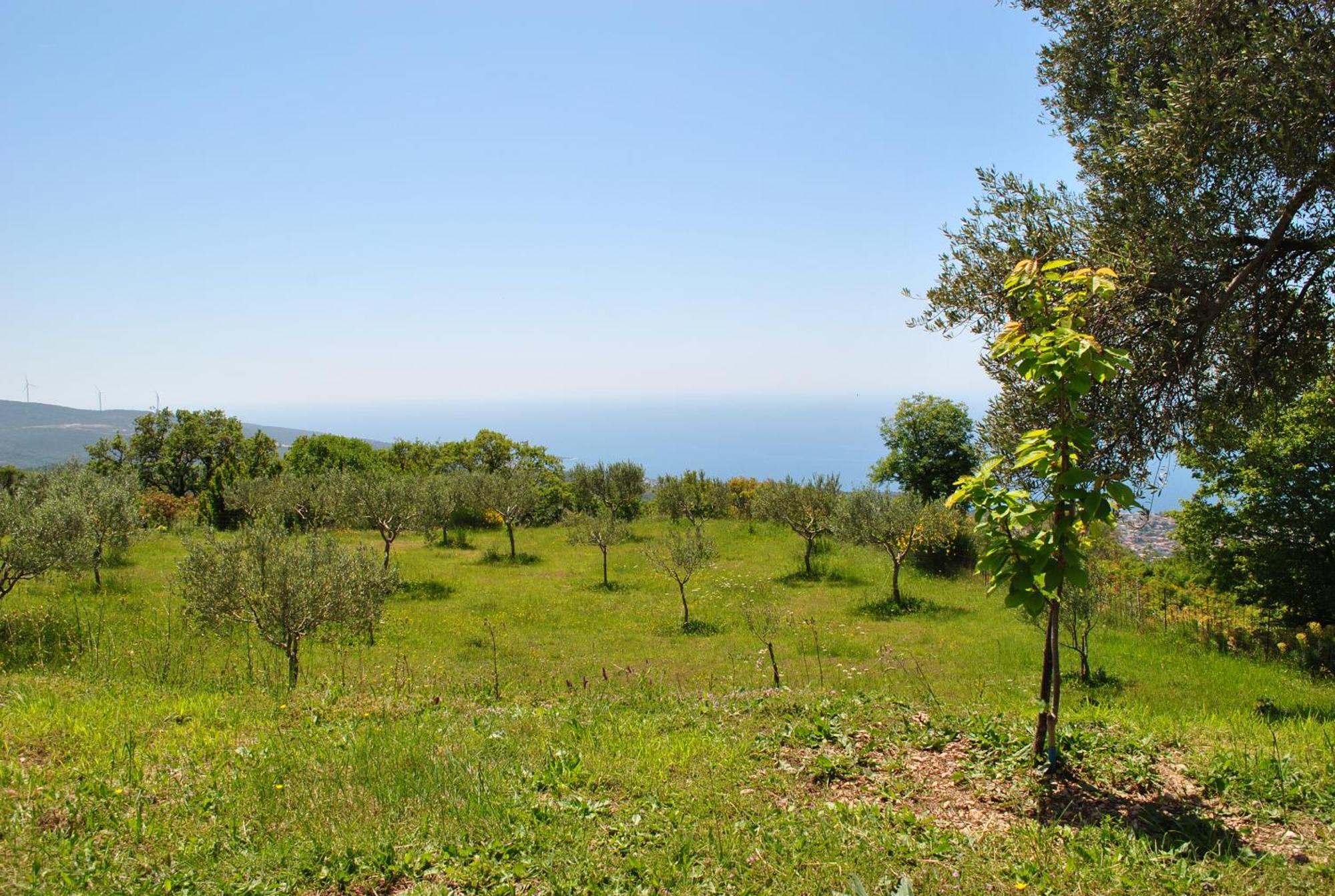 Country Home Dolac Bar Luaran gambar